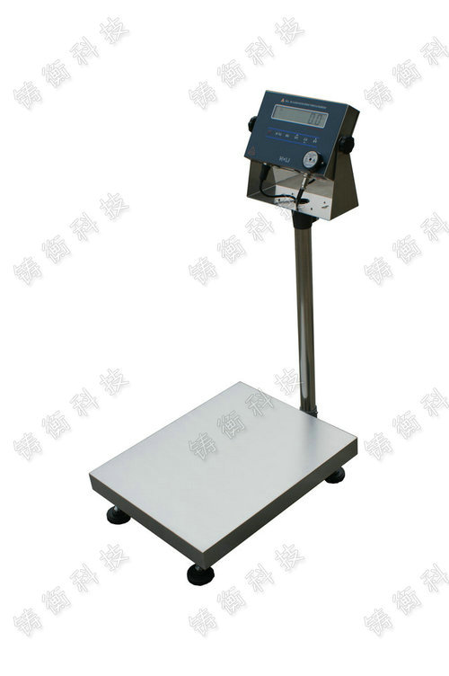 ��������_�Q